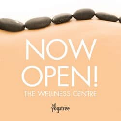 Yoga Tree Wellness Centre