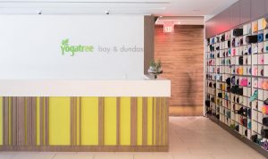 YogaTree - Bay & Dundas Yoga Studio in Toronto