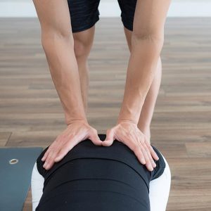 YogaTree - Yoga Studio in Richmond Hill