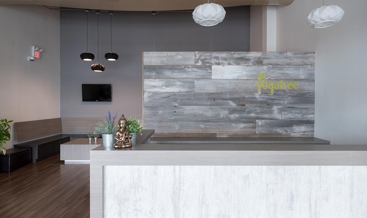 YogaTree - Vaughan Yoga Studio