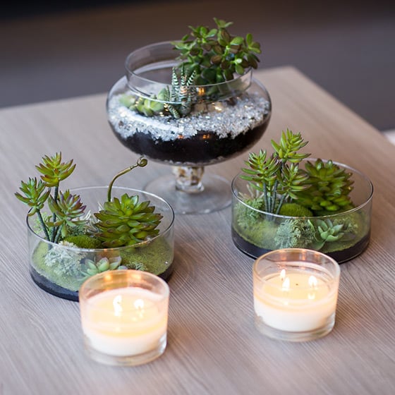 Yonge & Eglinton Yoga Studio