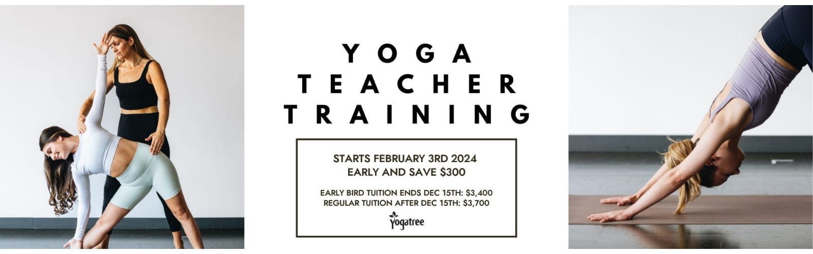 Richmond & Spadina Class Schedule - Yoga Tree