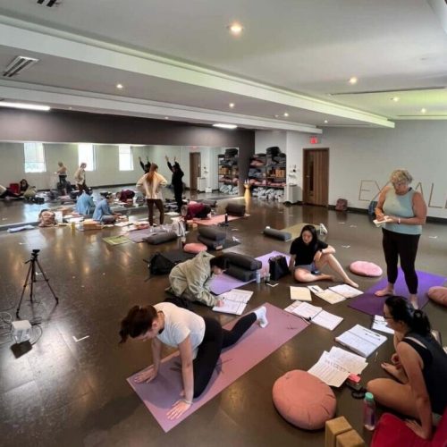 Students participating in an in-person 200-hour yoga teacher training program at a Toronto studio yoga tree